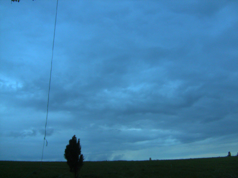 Pendulum_tree_framing