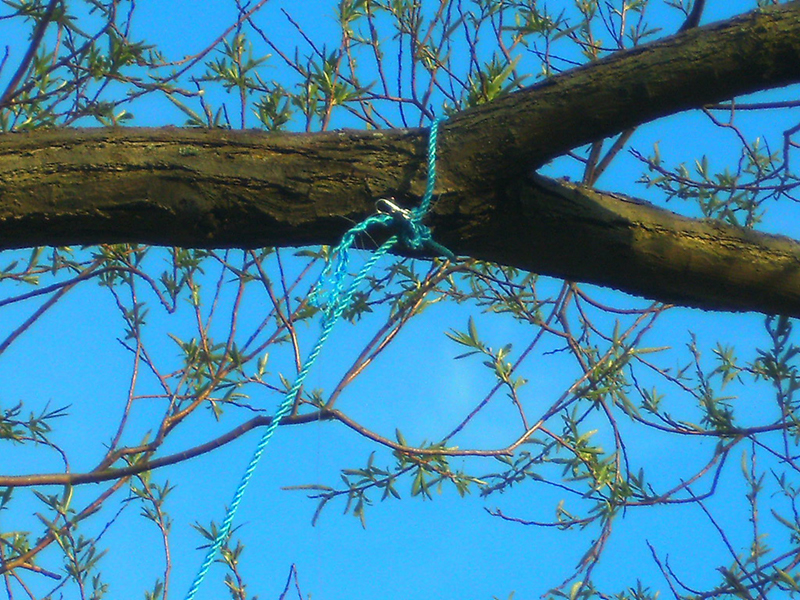 rope_on_branch_shot